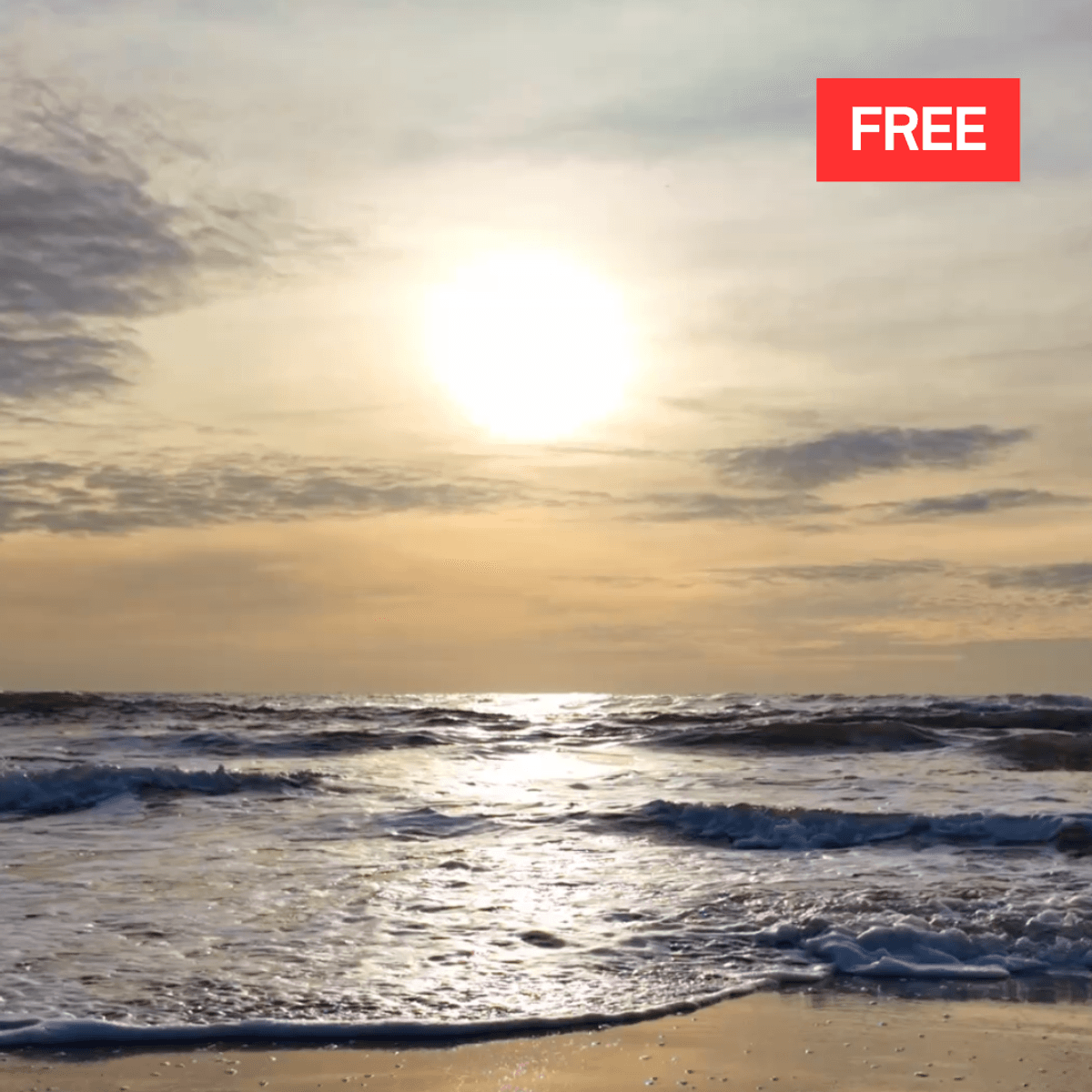 FREE Serene Beach Waves at Sunrise Footage