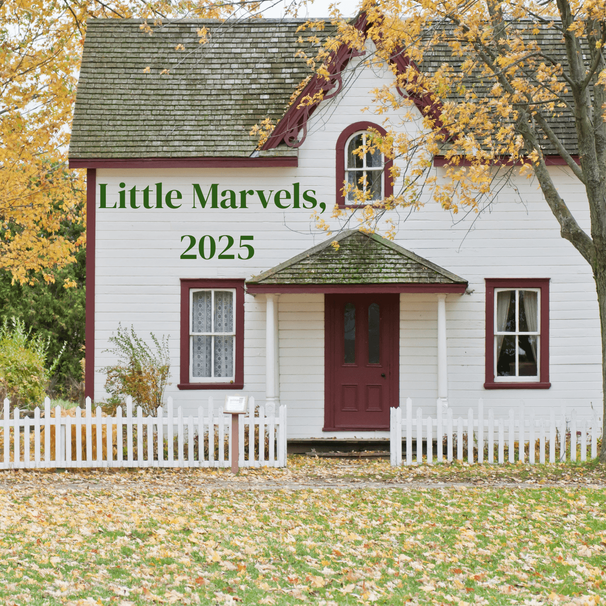 Little Marvels, Anthology of Haiku & Senryu, vol 2, 2025