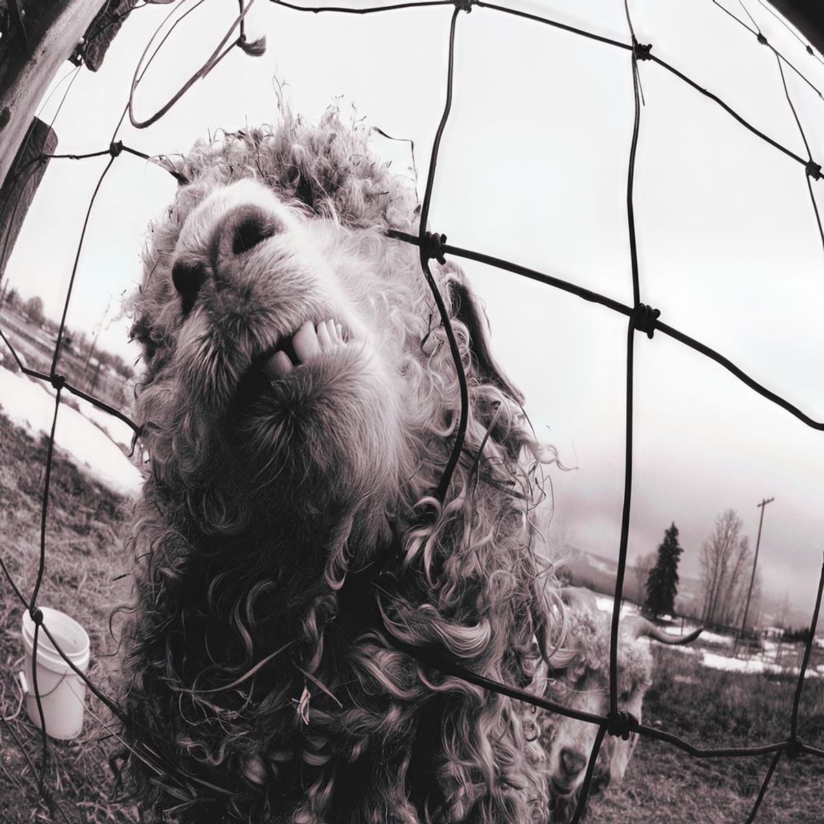 Pearl Jam - Daughter (Isolated)