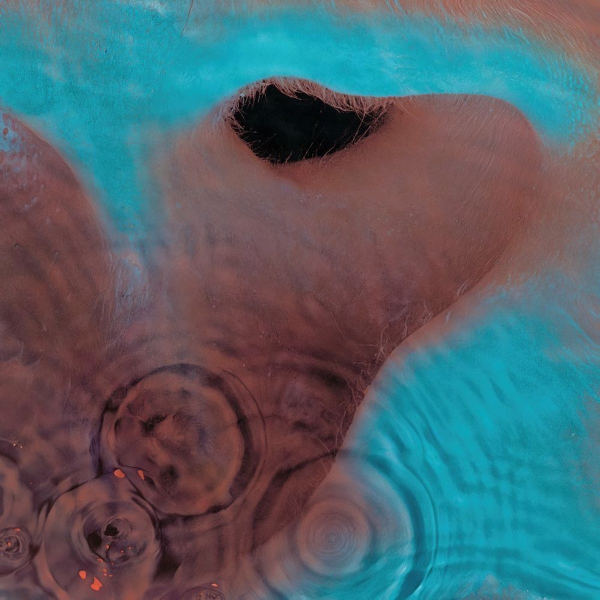 Pink Floyd - Echoes (Isolated)