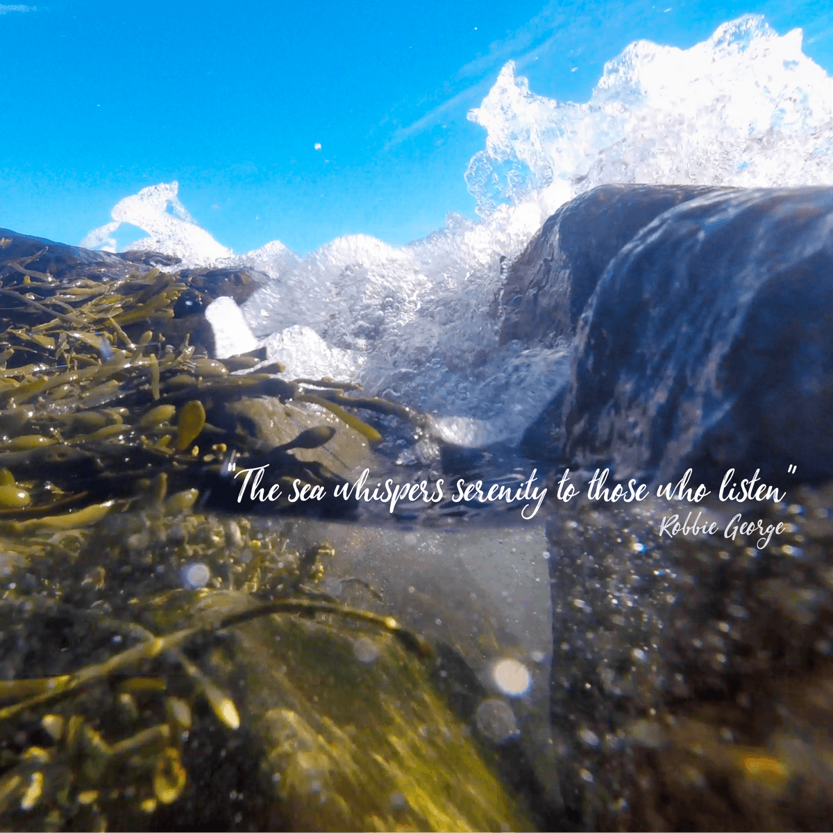 Wallpaper - Beneath the Gentle Waves