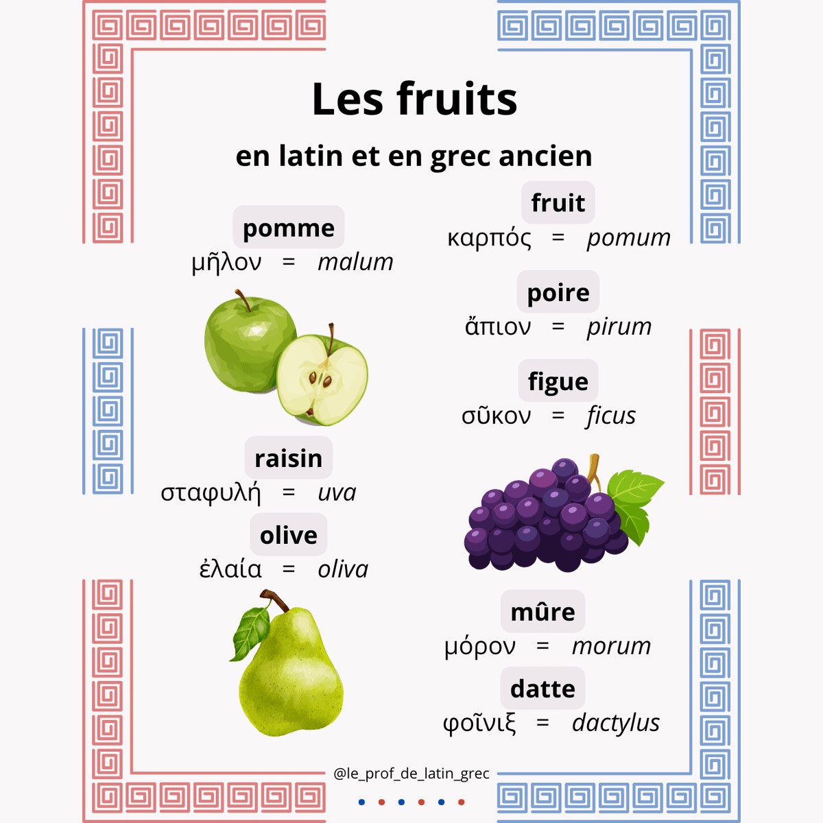 Fiche (PDF) "Les fruits en latin et en grec ancien"