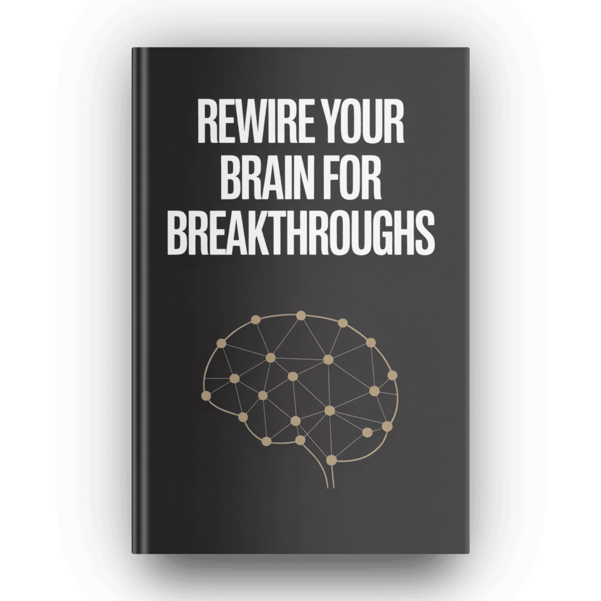 Rewrite Your Brian For Breakthroughs (Audiobook)
