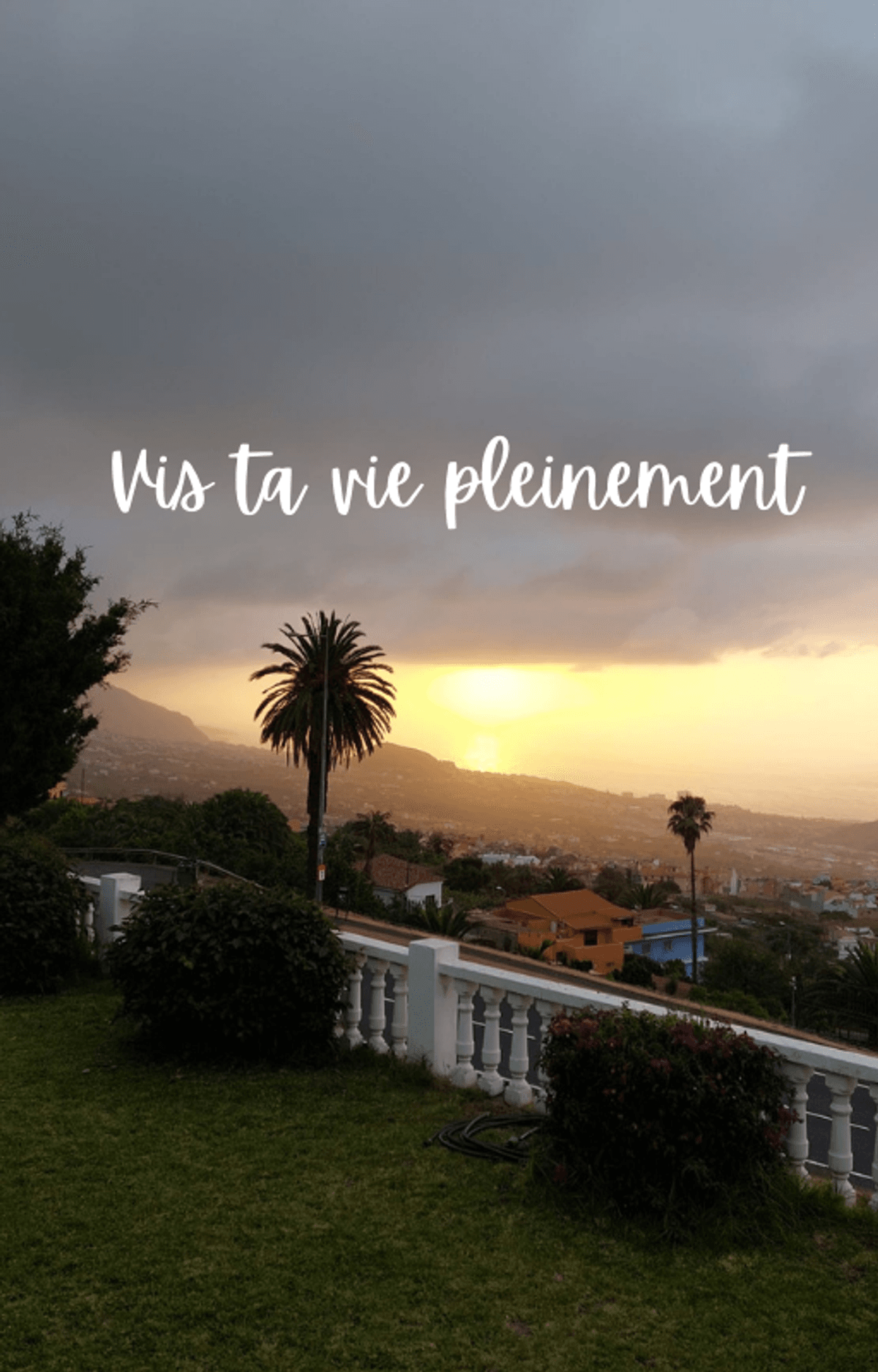 Between Words | Entre les mots