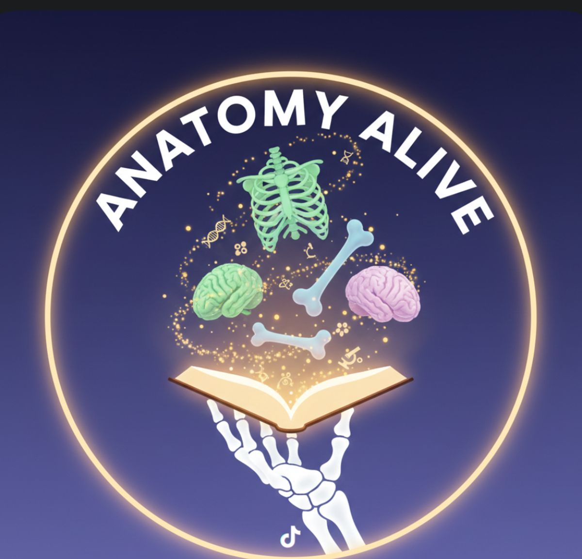 Aesthetic Anatomy: Clavicle, Sternum & Shoulder Girdle