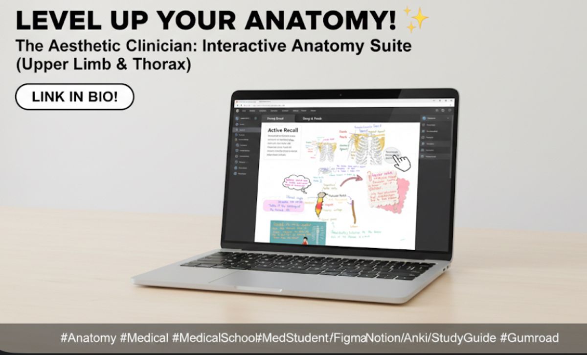 Aesthetic Anatomy: Clavicle, Sternum & Shoulder Girdle