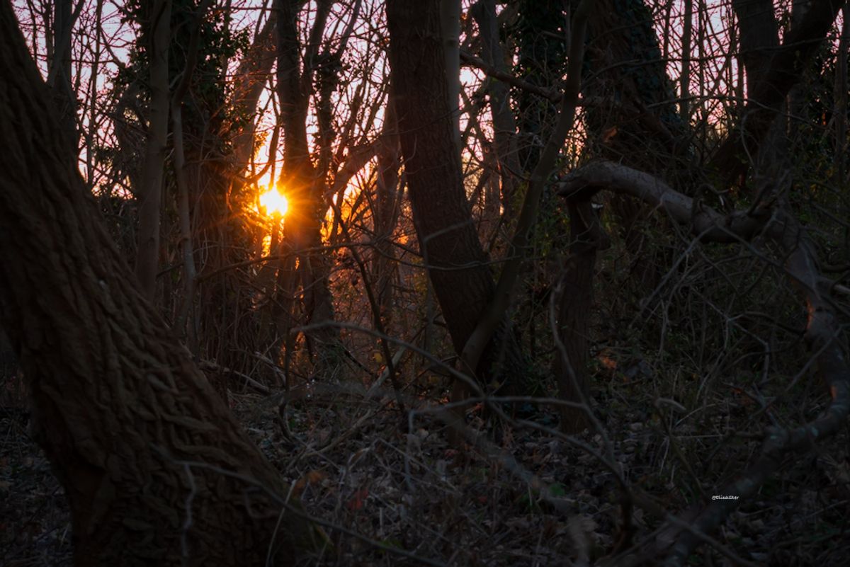 Digitale foto: Gouden Zonsondergang in Stellendam