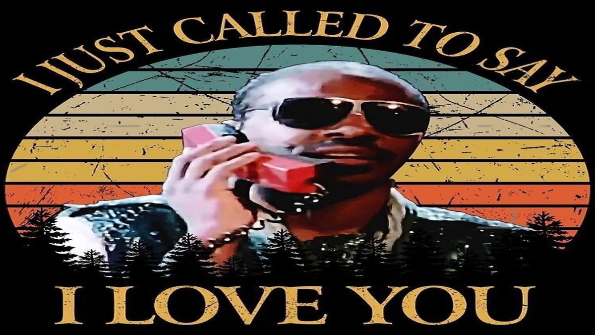 Stevie Wonder - I Just Called To Say I Love You