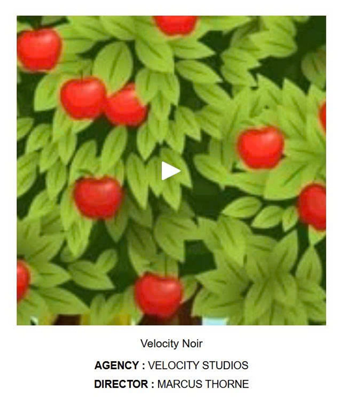Gallery Block Video Description