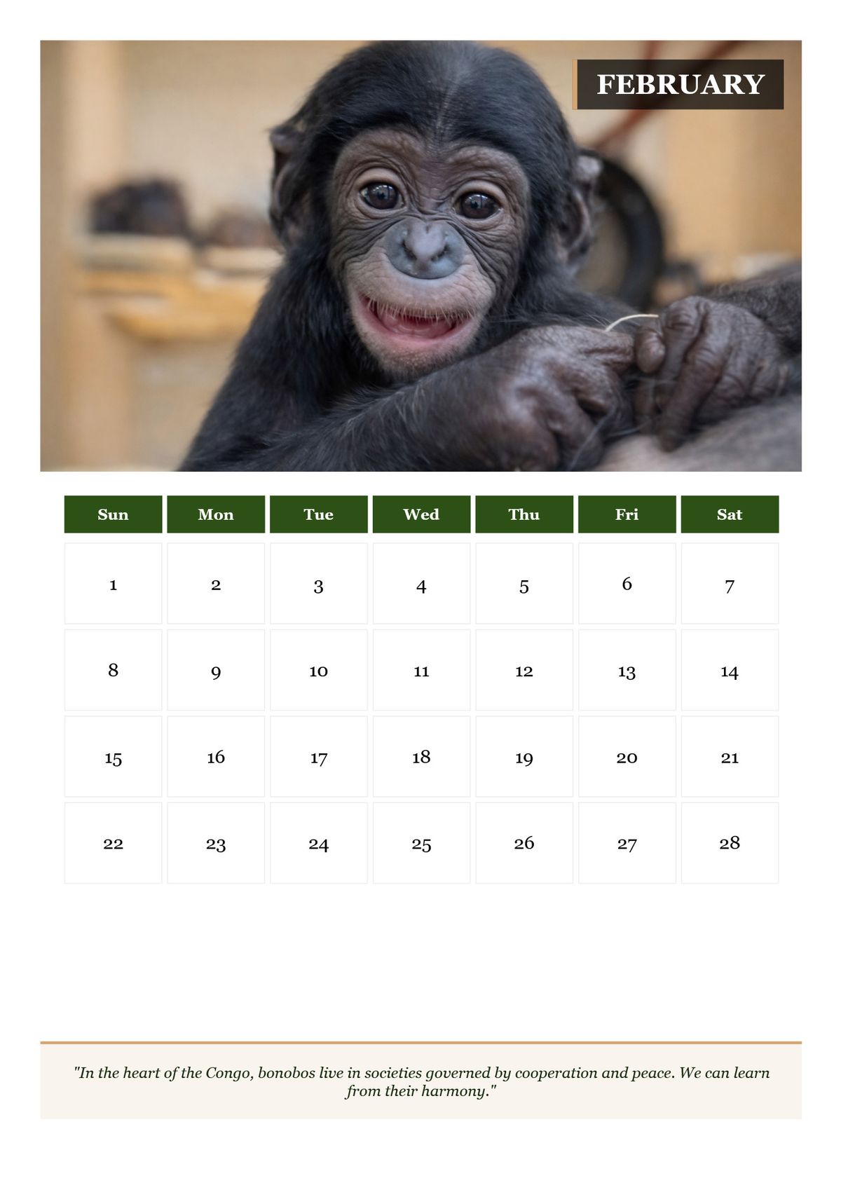 2026 Great Apes Calendar — Printable Conservation Edition (PDF + HD Images)
