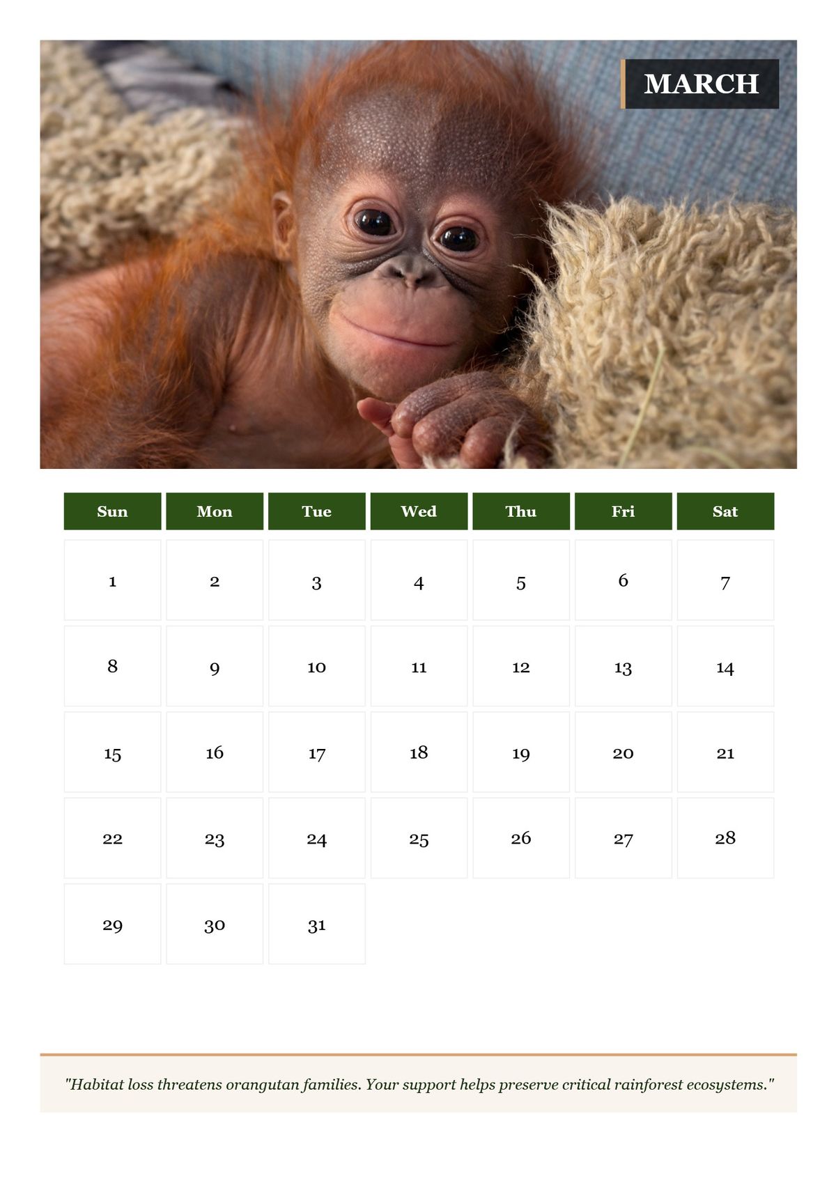 2026 Great Apes Calendar — Printable Conservation Edition (PDF + HD Images)