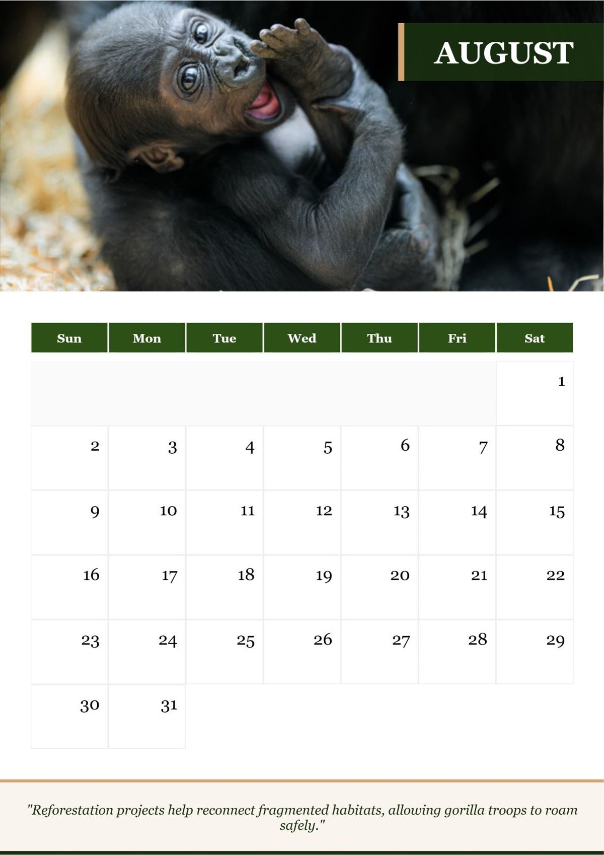 2026 Great Apes Calendar — Printable Conservation Edition (PDF + HD Images)
