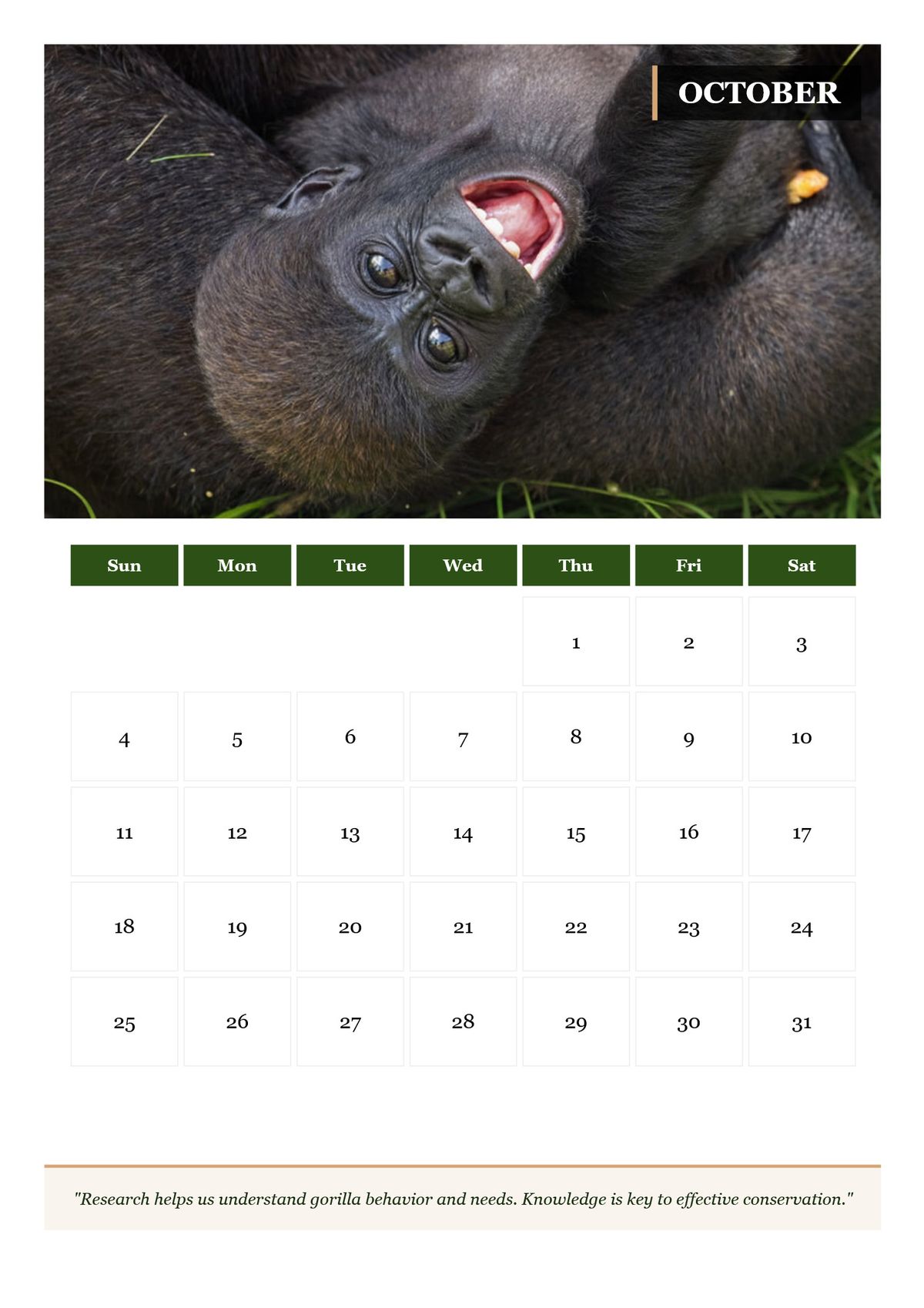 2026 Great Apes Calendar — Printable Conservation Edition (PDF + HD Images)