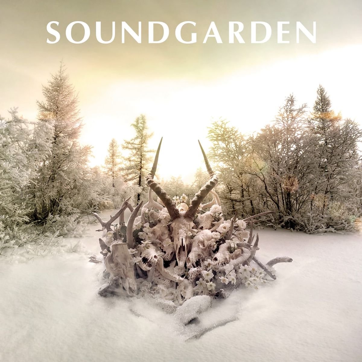 Soundgarden - Been Away Too Long (Isolated)