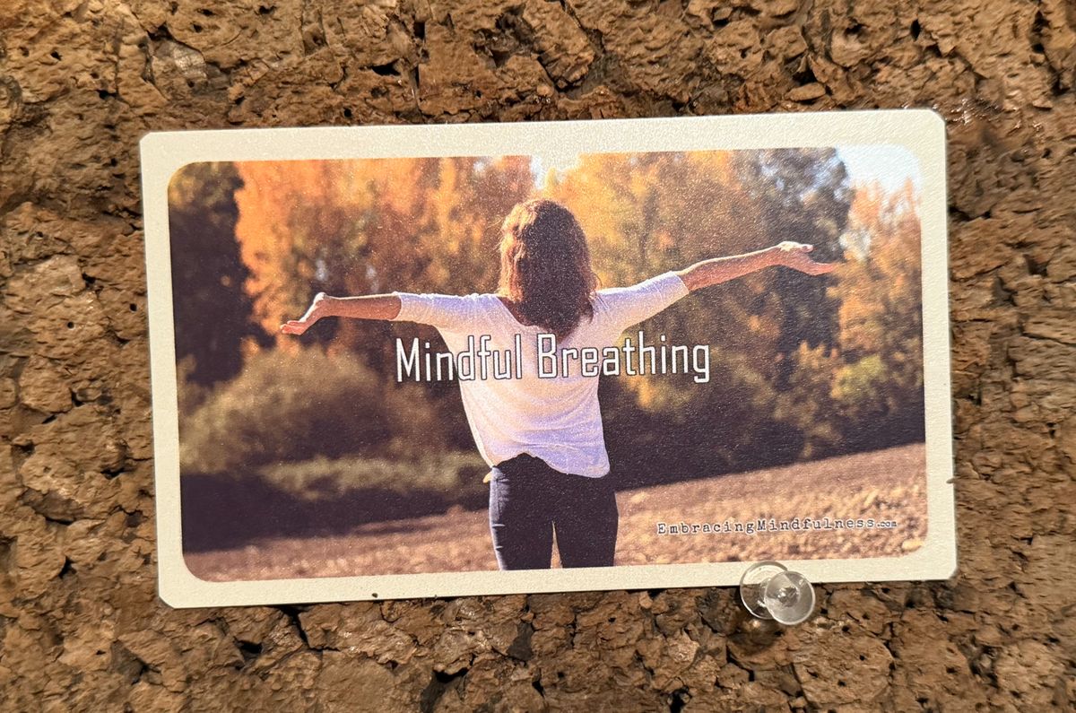 FREE 31 Day Mindfulness Challenge