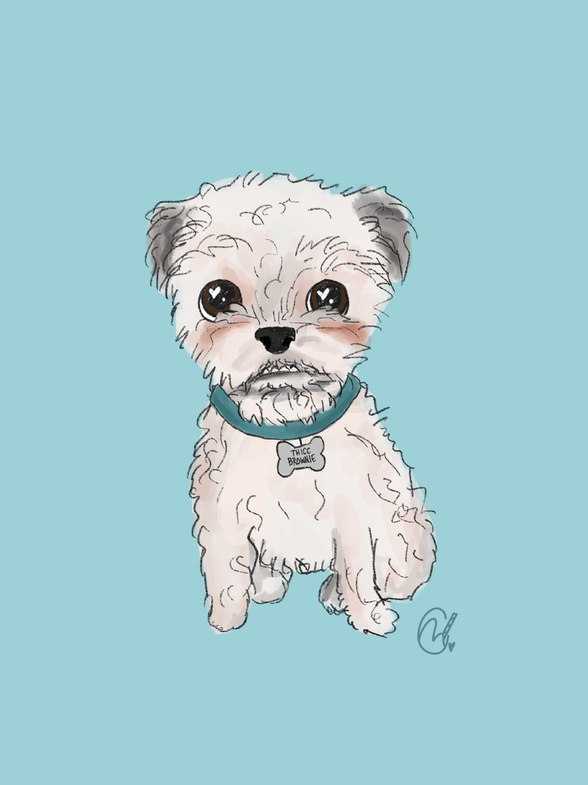 Pet Portraits