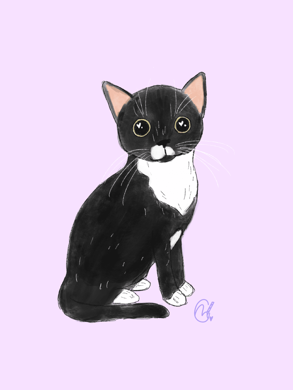 Pet Portraits
