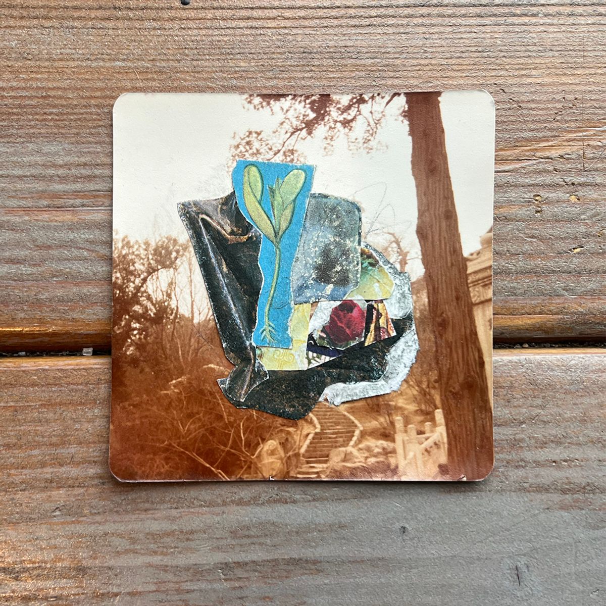 original collage on vintage found photo [mutual aid] [69]