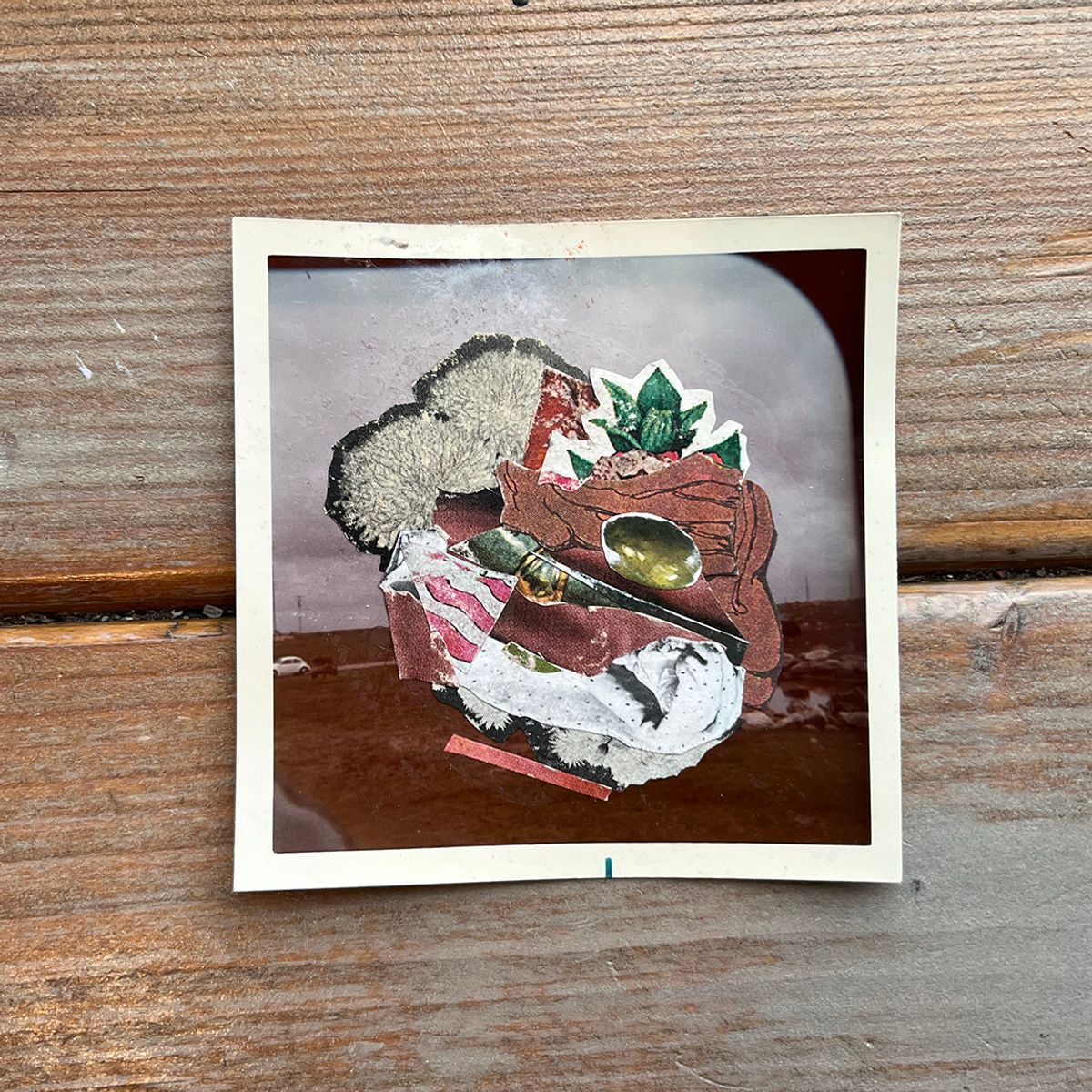 original collage on vintage found photo [mutual aid] [70]