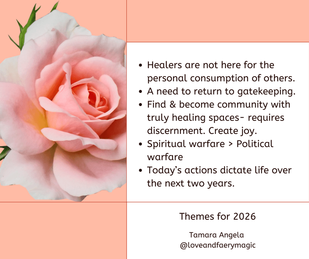 Channeled Insights February 2026