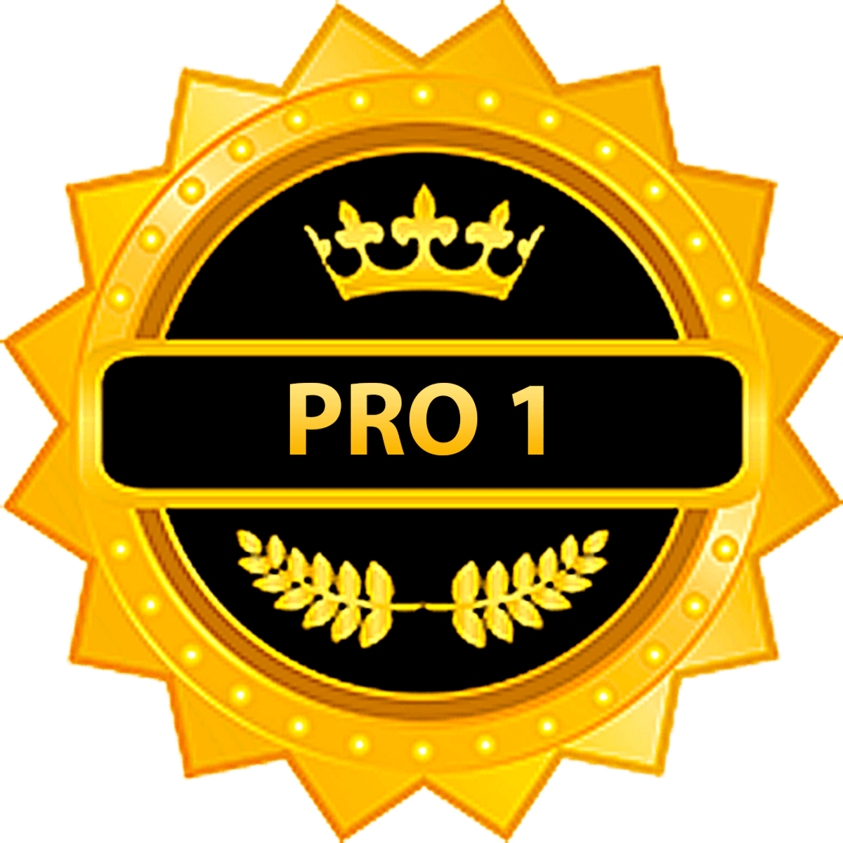 BotBandera Pro 1