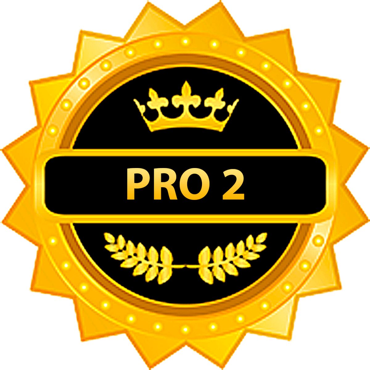 BotBandera Pro 2