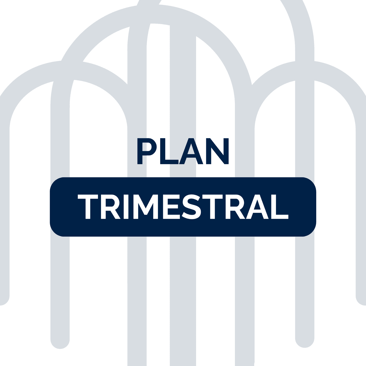 Plan Trimestral