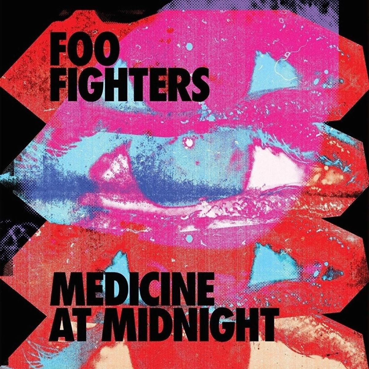 Foo Fighters - No Son Of Mine (Isolated)