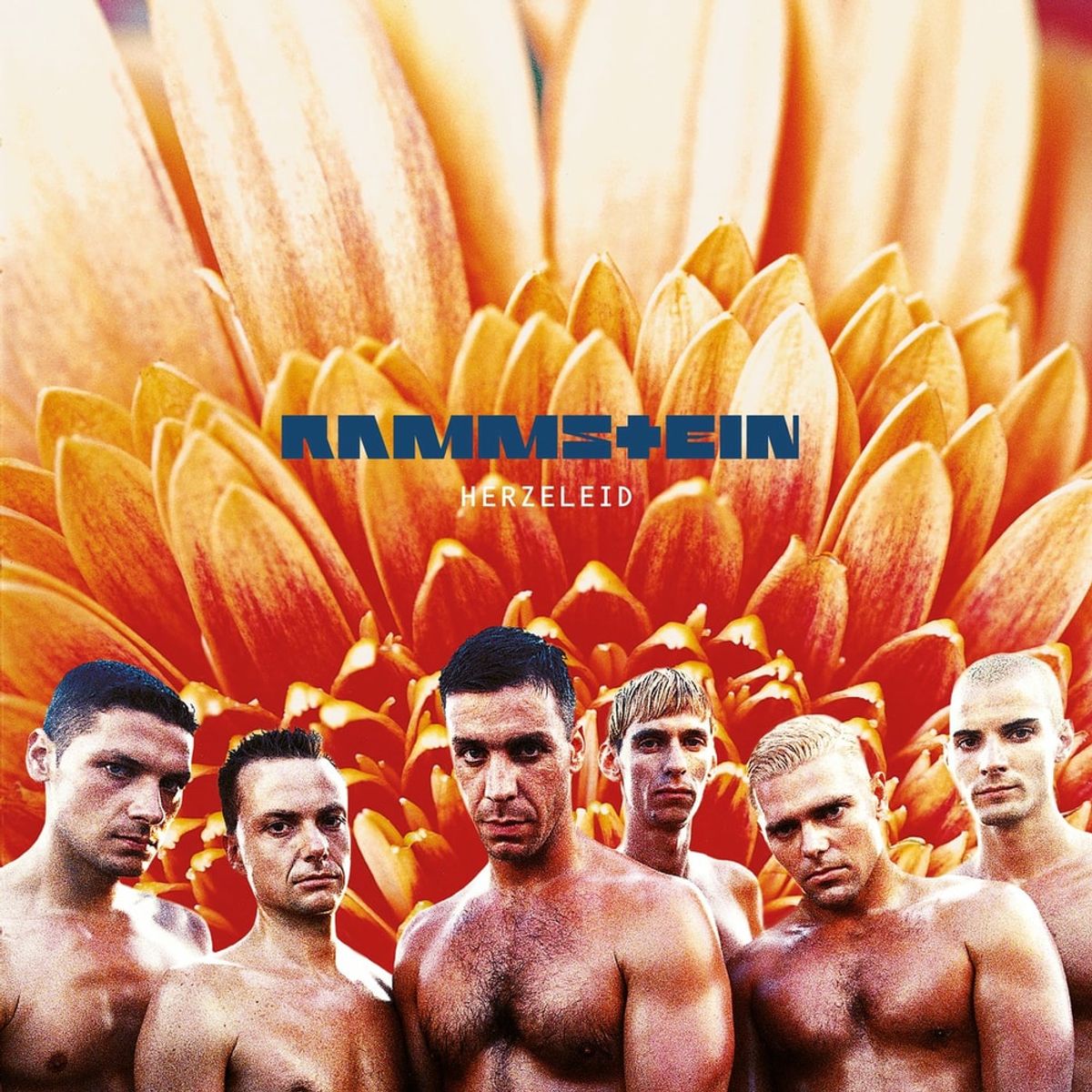 Rammstein - Asche zu Asche (Isolated)