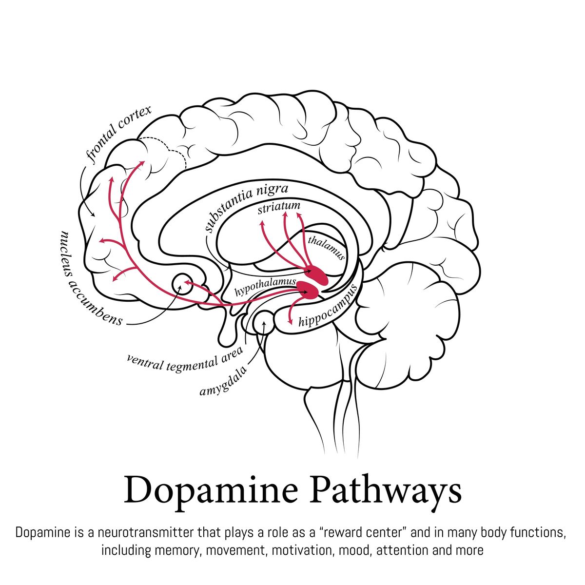 Depression-Proof Design Kit A Structured Clinical Intervention