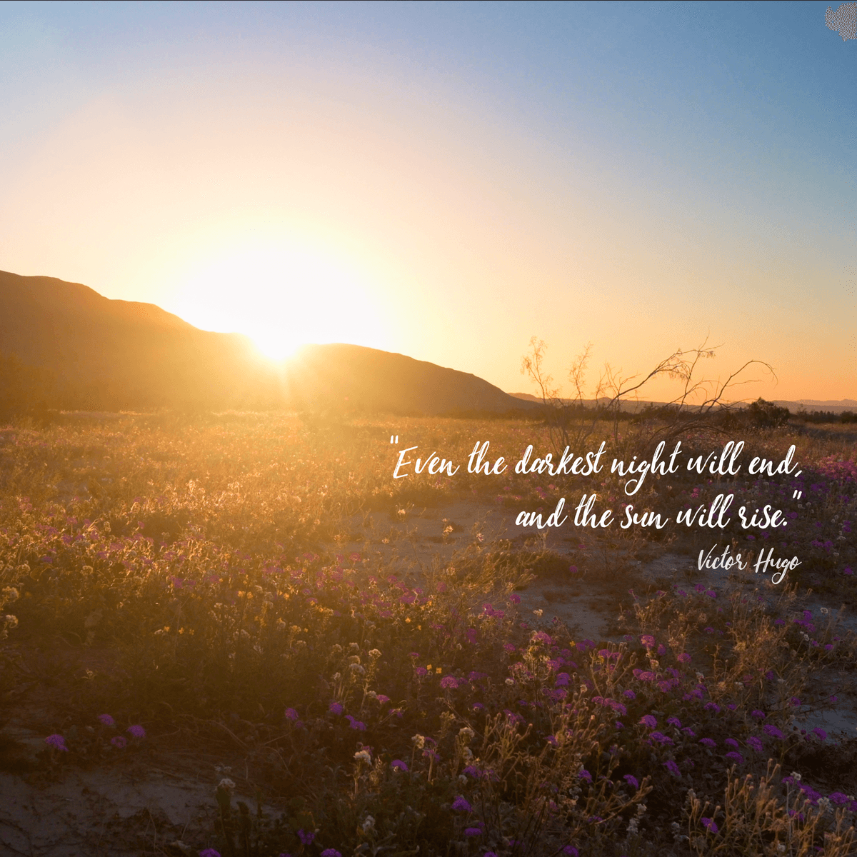 Wallpaper - Desert Morning