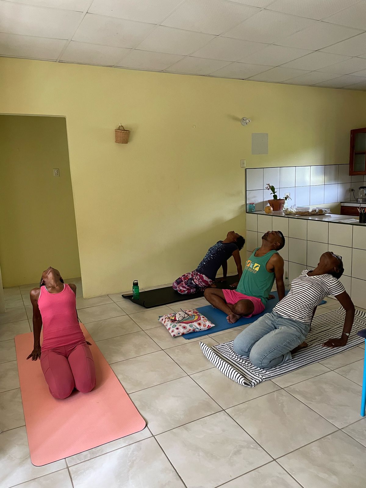 Online Yoga Therapy - Single Session