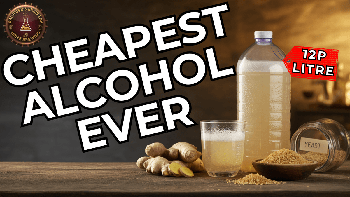 🧪 The 12p "Ginger Kick" | Cheapest Alcohol Ever Protocol 🫚🔥