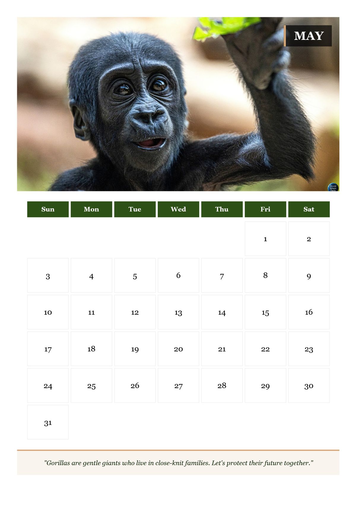 Spring & Summer Primate Calendar Bundle: April – June 2026 🐒🦍🌿