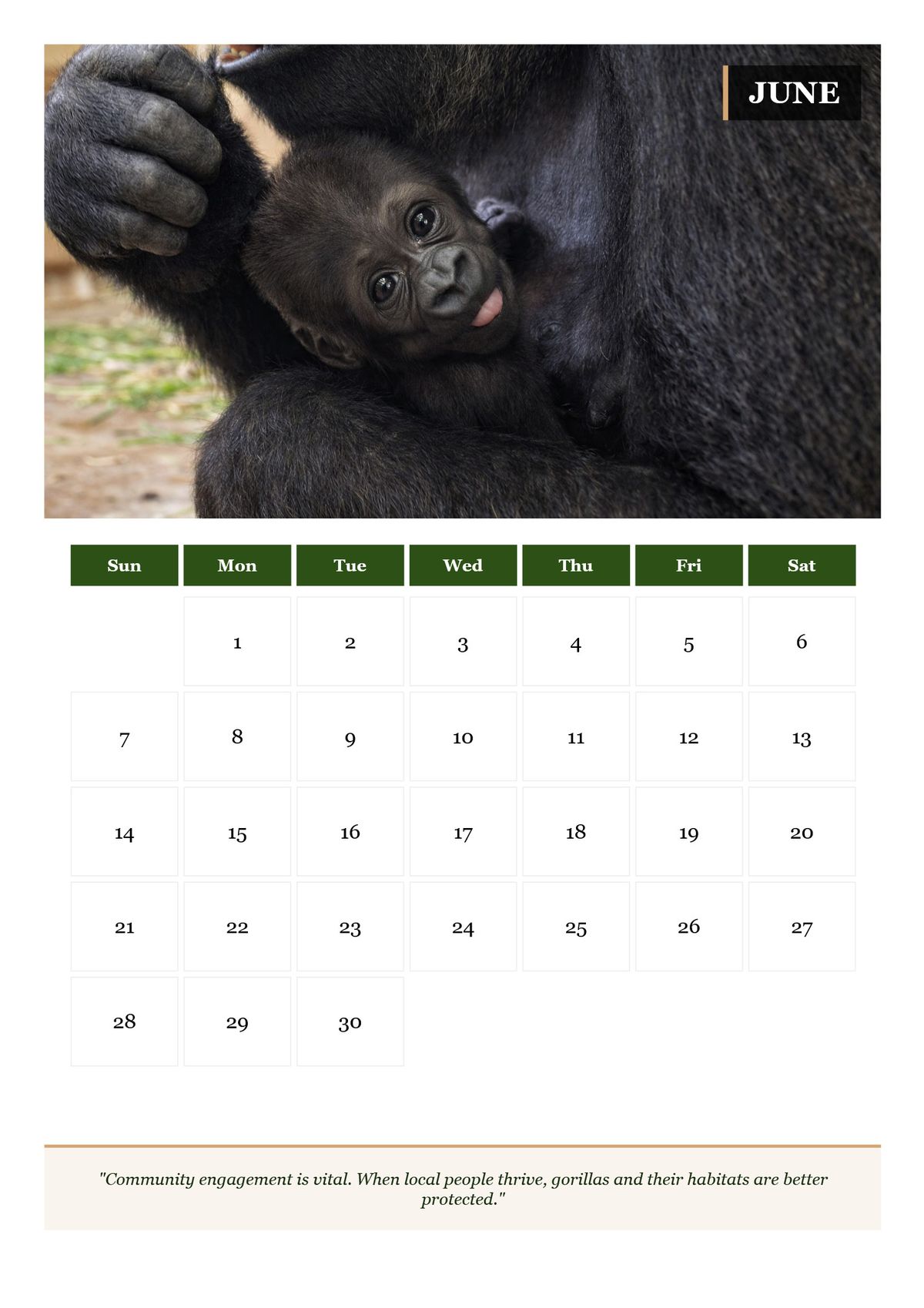 Spring & Summer Primate Calendar Bundle: April – June 2026 🐒🦍🌿