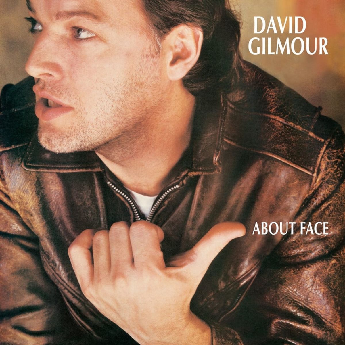 David Gilmour - Murder (Isolated)
