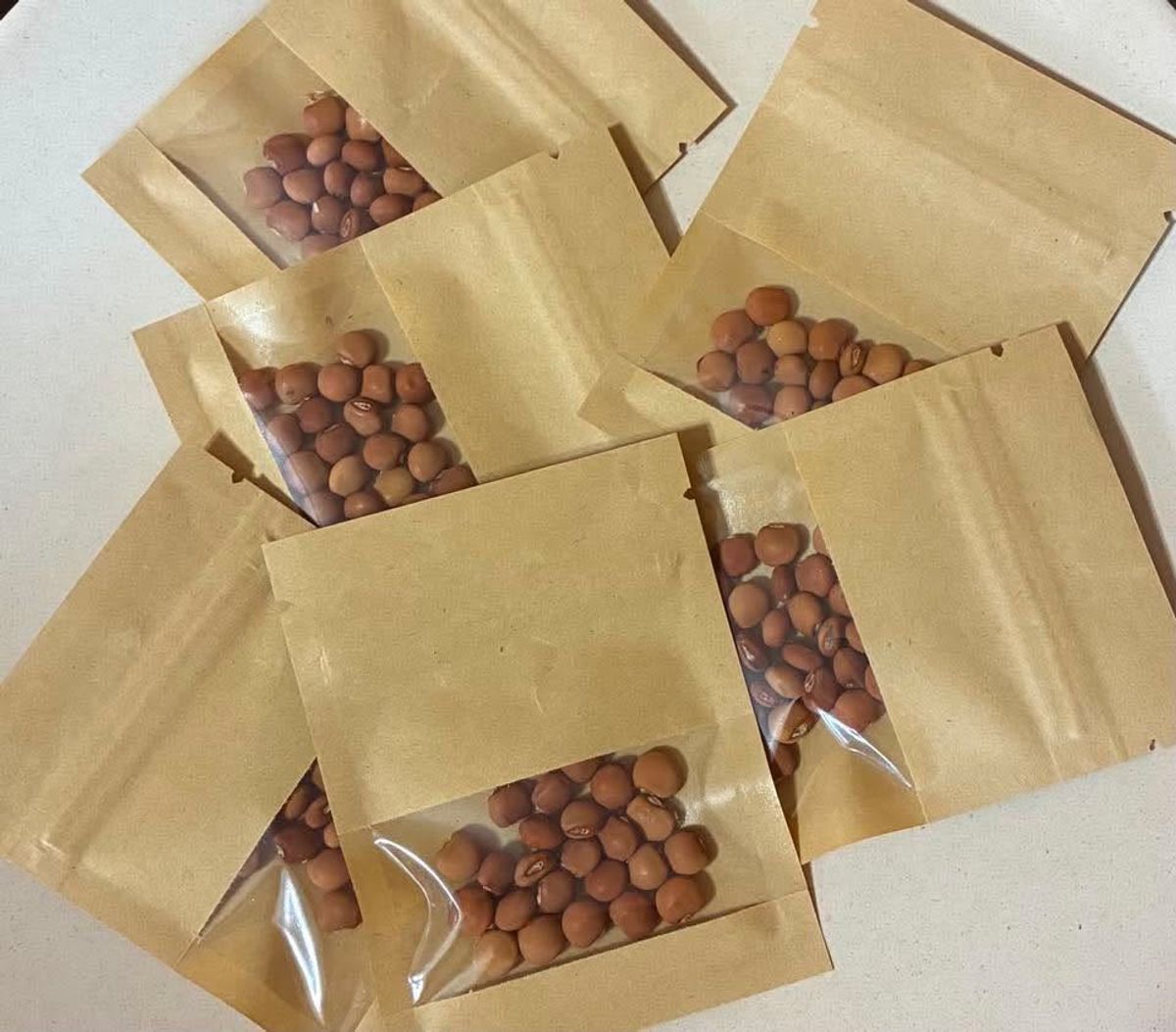 Pigeon Pea Seeds – Backyard Harvest (25 Seeds) red/yellow