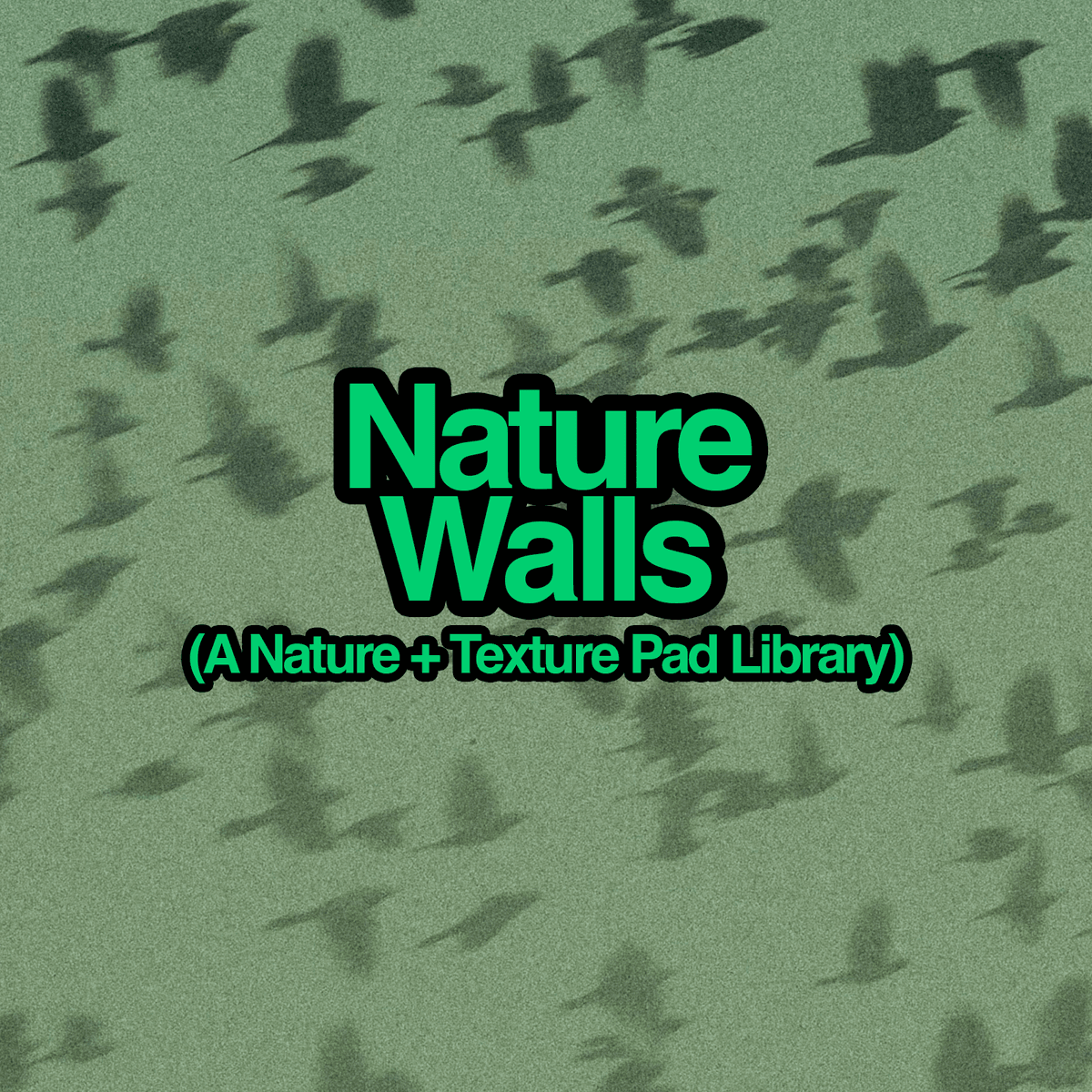 Nature Walls