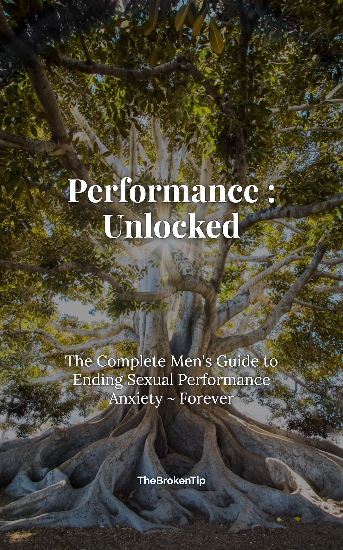 Performance: Unlocked — The Men's Guide to Ending Performance Anxiety