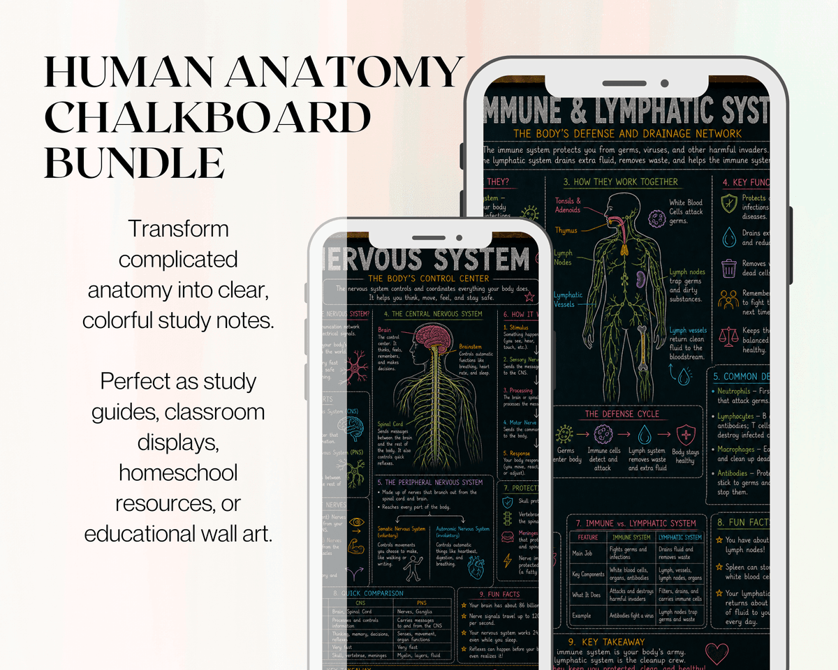 Human Anatomy Chalkboard Bundle