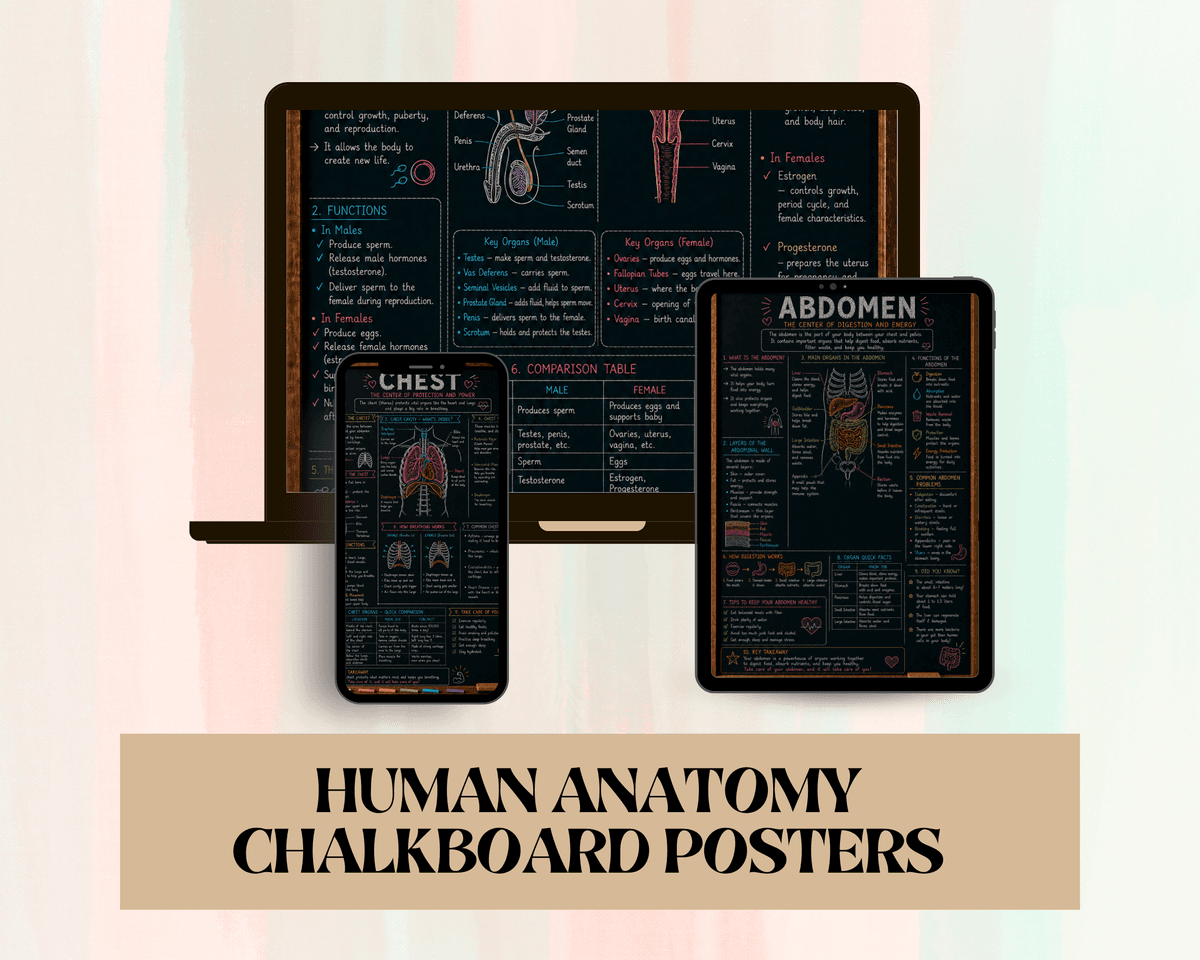 Human Anatomy Chalkboard Bundle
