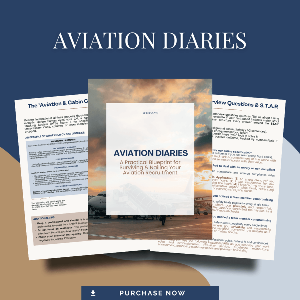 AVIATION DIARIES: A Practical Blueprint for Surviving & Nailing Your Aviation Recruitment