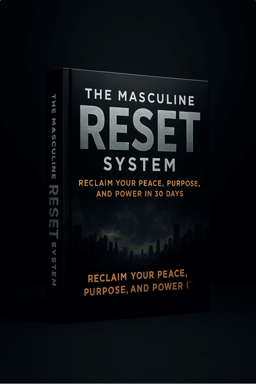 The Masculine Reset System