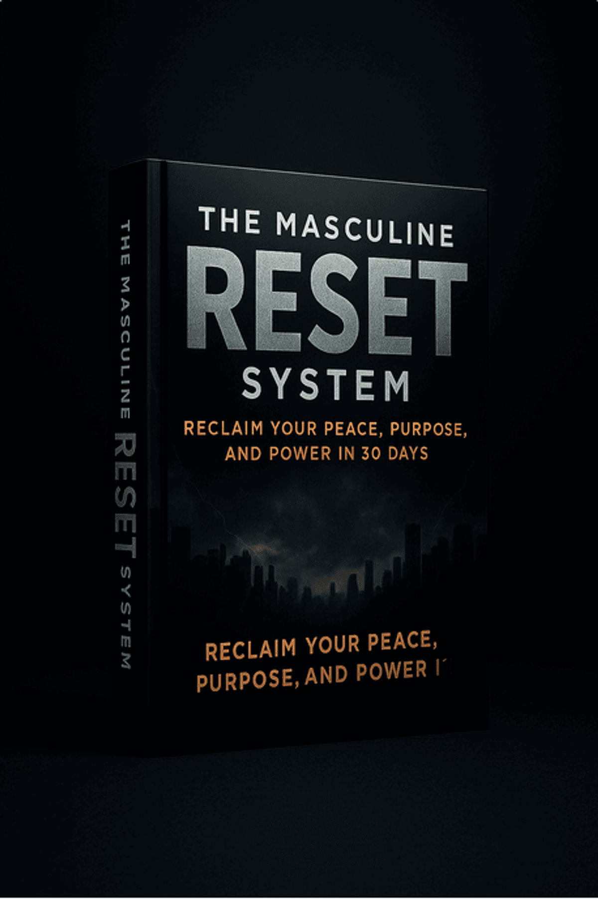 The Masculine Reset System