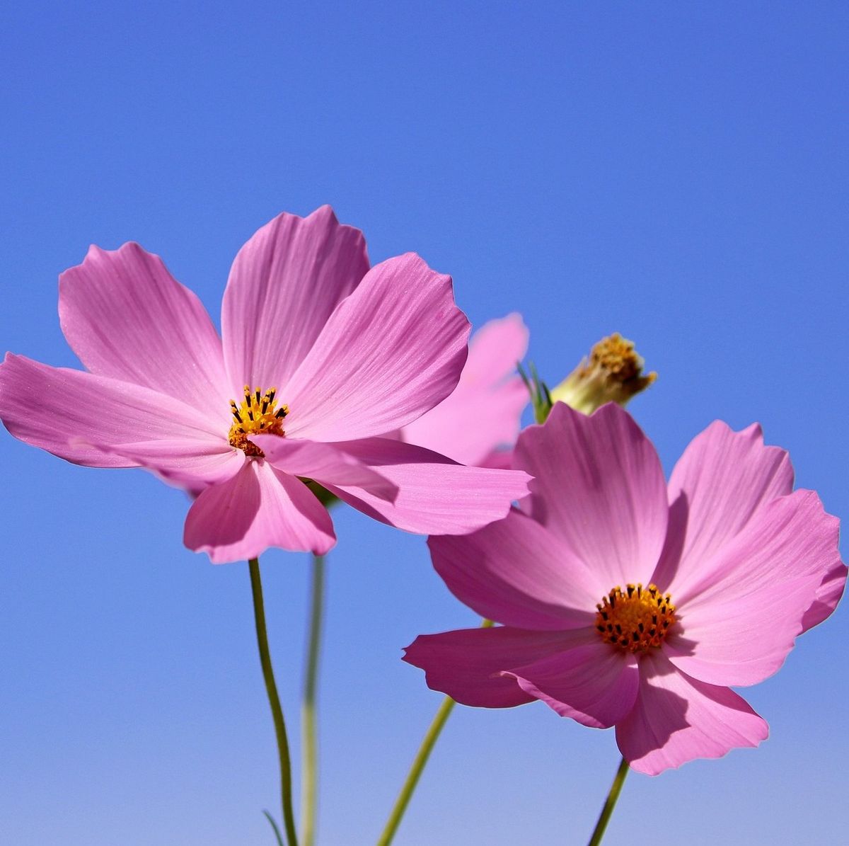 pray_2  (relaxation piano music)