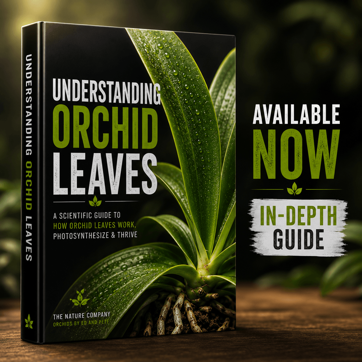 Lesson 2 Understanding Orchid Leaves