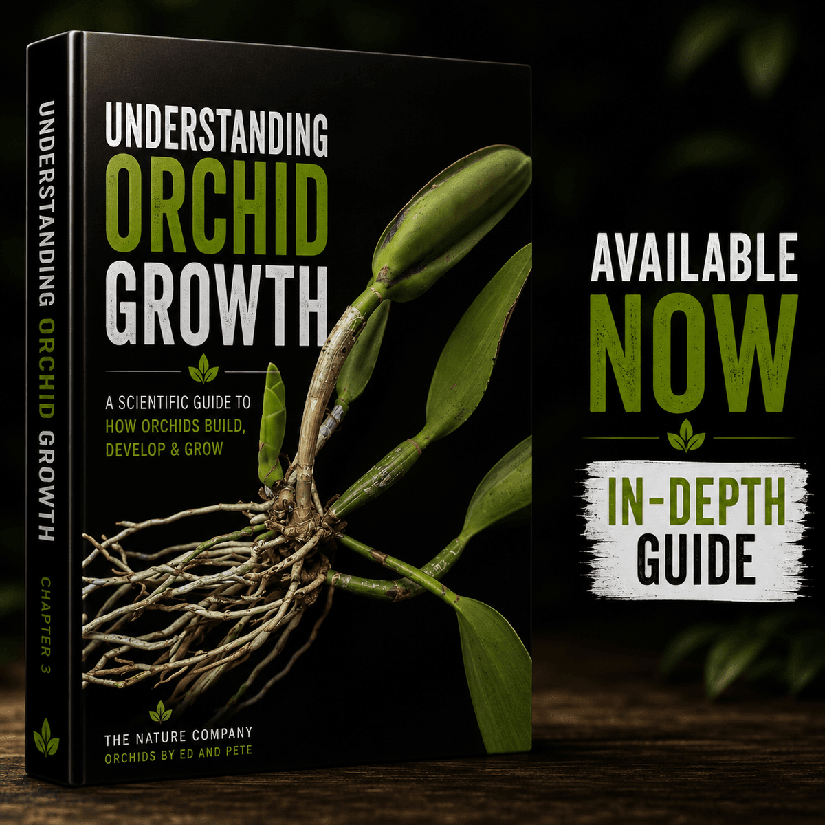 Lesson 3 UNDERSTANDING ORCHID GROWTH