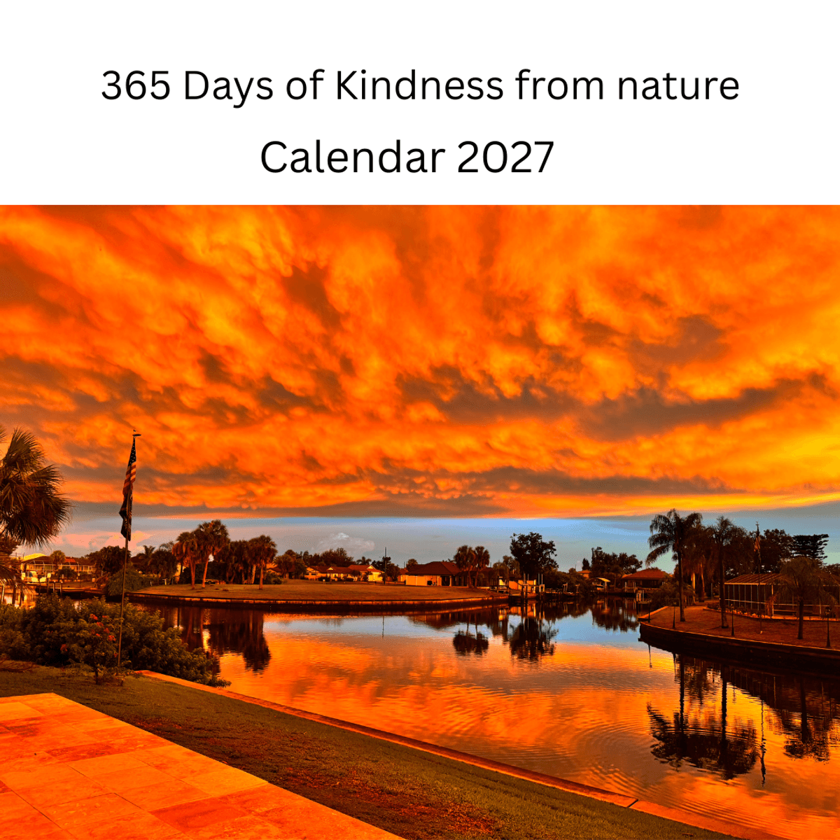 365 Days of kindness from Nature Sunrises,Sunsets & Little Moments of Light