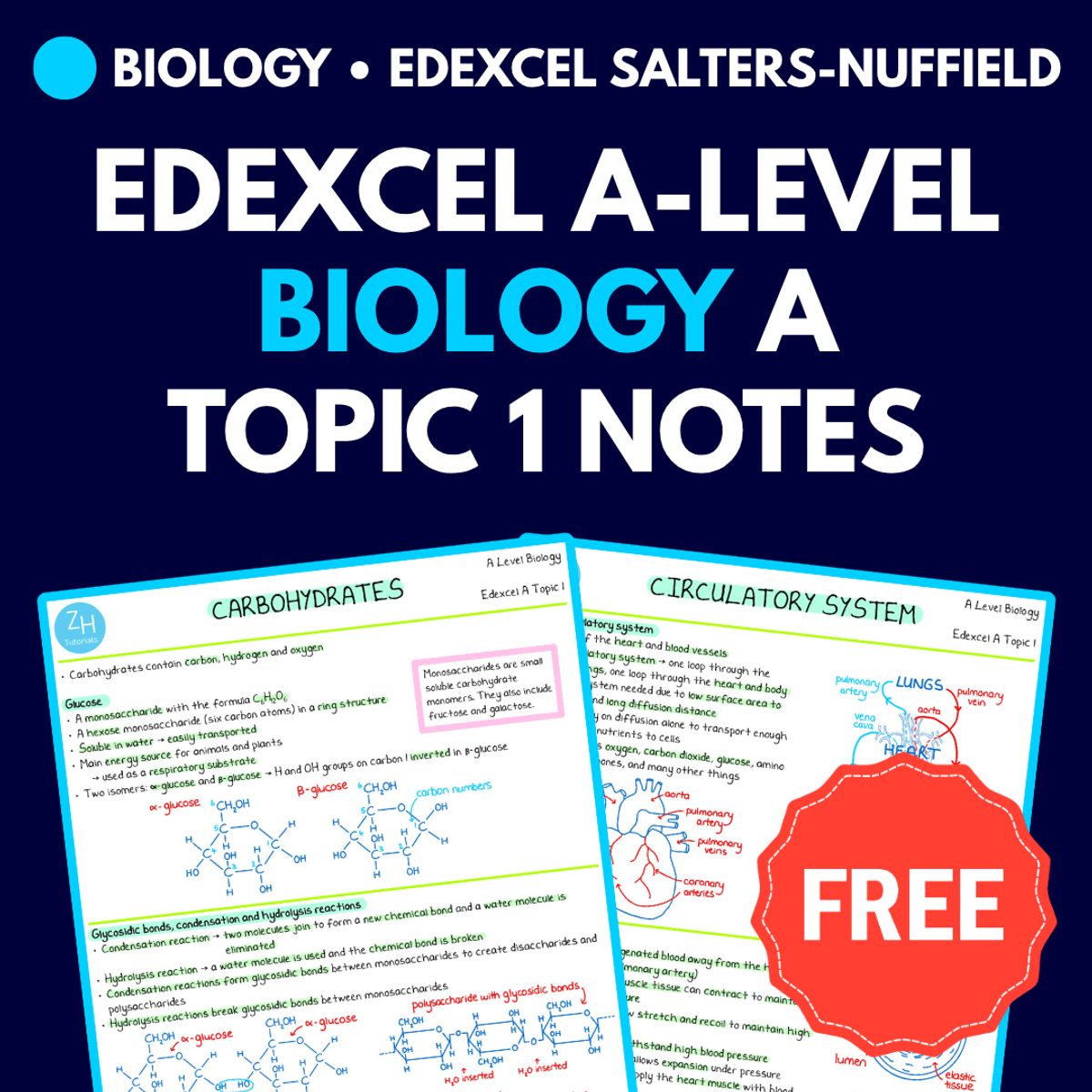 Edexcel A (Salters-Nuffield) A-Level Biology Notes Topic 1 FREE