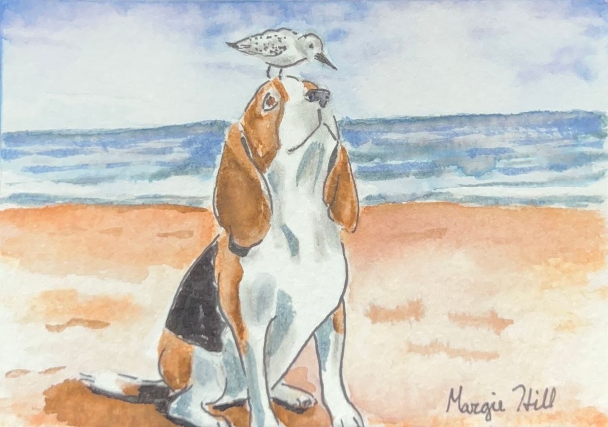 Beach Beagle mini with Sanderling